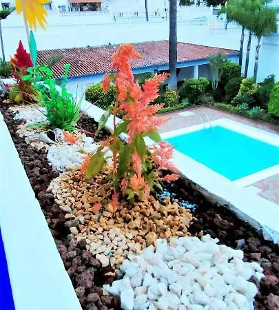 Apartamento Tropical Con Piscina Zona Taoro Puerto De La Cruz 아파트 푸에르토 드 라 크루즈