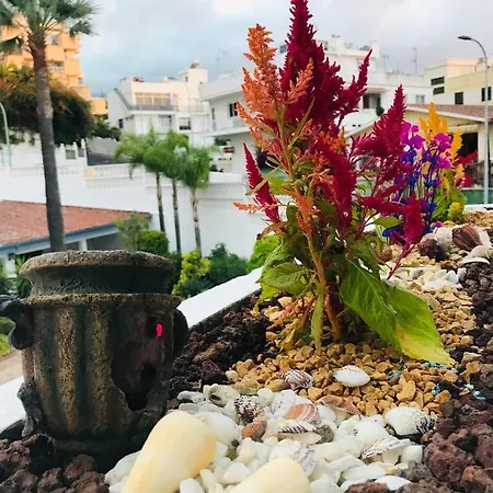 Apartamento Tropical Con Piscina Zona Taoro Puerto De La Cruz 아파트